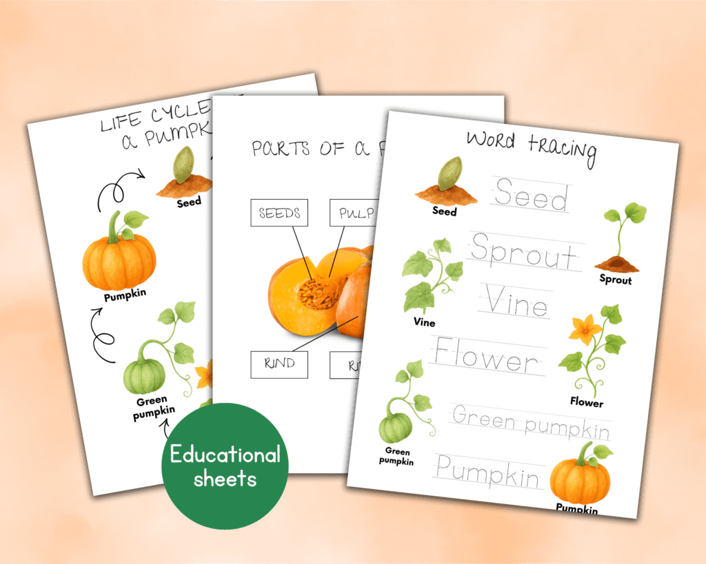 pumpkin unit study pages. Life cycle of a pumpkin, pumpkin parts and word tracing.