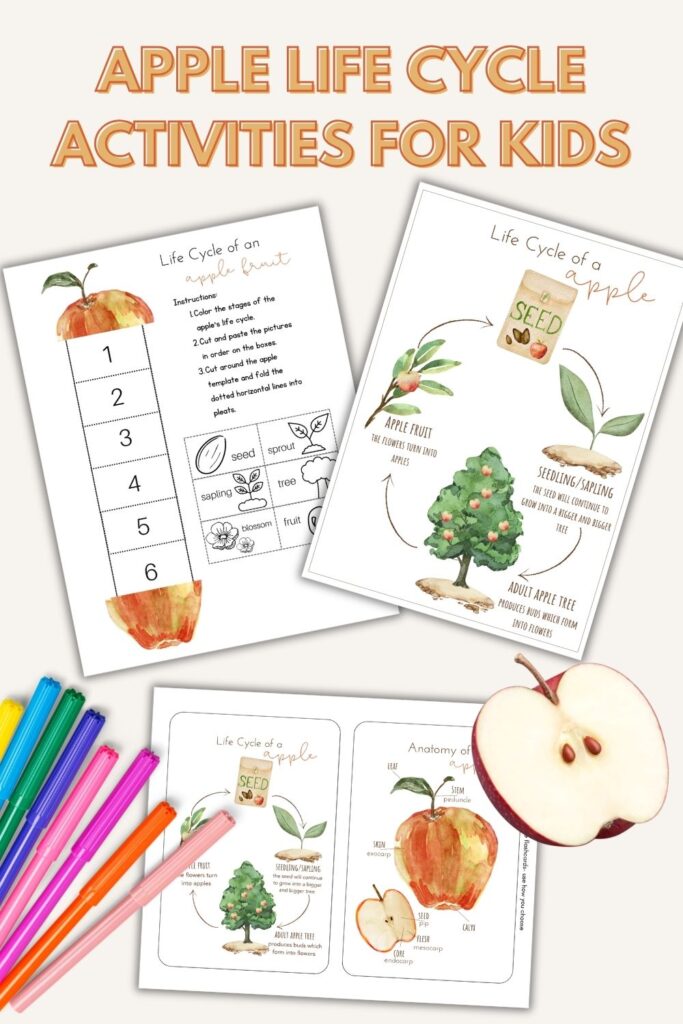 apple activities for preschool and kindergarten