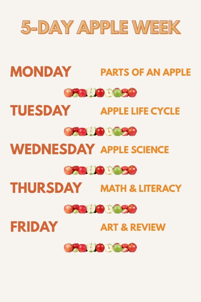 apple activities for preschool and kindergarten