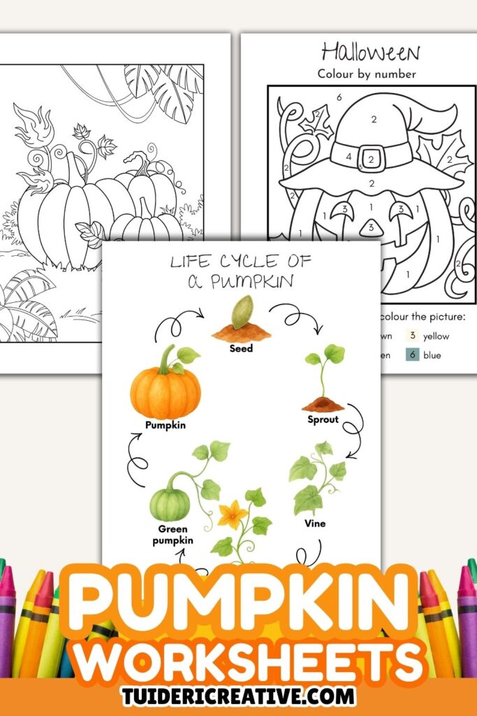 Pumpkin Activities for Preschool